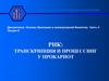 Транскрипция и процессинг у прокариот. (Лекция 6)