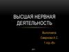 Высшая нервная деятельность