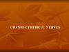 Cranio-cerebral nerves