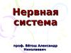 Нервная система