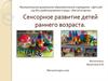 Сенсорное развитие детей раннего возраста