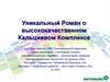 Роль кальция в организме человека