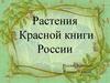 Растения красной книги России