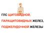 ГЛС щитовидной, паращитовидных желез, поджелудочной железы