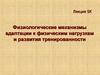 Физиологические механизмы адаптации к физическим нагрузкам и развития тренированности. (Лекция 5К)