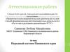 Аттестационная работа. Народный костюм Панинского края