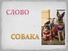 Слово "собака"