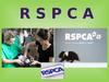 Экологическая организация RSPCA