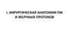 Хирургическая анатомия пж и желчных протоков