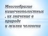 Многообразие кишечнополостных, их значение в природе и жизни человека