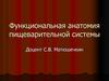 Функциональная анатомия пищеварительной системы