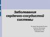 Заболевания сердечно-сосудистой системы и профилактика