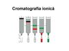 Cromatografia ionică