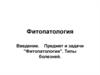 Фитопатология. Типы болезней у растений. (Лекция 1)
