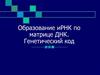 Образование иРНК по матрице ДНК. Генетический код