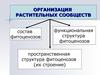 Организация растительных сообществ. (Лекция 2)