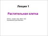 Растительная клетка