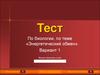 Тест по биологии, по теме «Энергетический обмен»