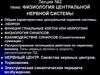Физиология центральной нервной системы. (Лекция 2)