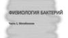 Физиология бактерий. Метаболизм. (Часть 1)
