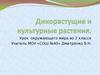 Дикорастущие и культурные растения