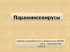 Парамиксовирусы