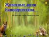 Животные лесов Башкортостана