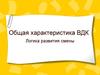 Общая характеристика ВДК. Логика развития смены