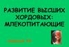 Развитие высших хордовых. Млекопитающие
