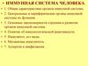 Иммунная система человека