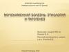 Мочекаменная болезнь: этиология и патогенез