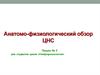 Анатомо-физиологический обзор центральной нервной системы. (Лекция 2)