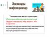 Зоонозды инфекцияларға сипаттама