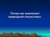 Почва как компонент природной геосистемы