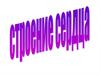 Строение сердца