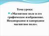 Магнитное поле и его графическое изображение. (Урок 39)