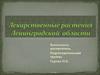 Лекарственные растения Ленинградской области