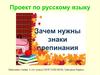 Проект по русскому языку. Зачем нужны знаки препинания