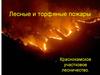 Лесные и торфяные пожары