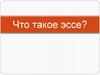 Что такое эссе