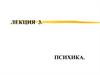 Психика. Психическое отражение. (Лекция 3)
