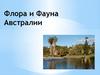 Флора и фауна Австралии