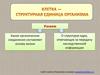 Клетка - структурная единица организма
