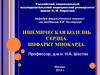 Ишемическая болезнь сердца. Инфаркт миокарда
