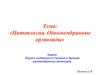 Цитоплазма. Одномембранные органоиды