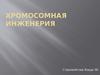 Хромосомная инженерия
