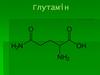 Амінокислоти. Глутамін