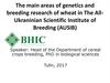 The main areas of genetics and breeding research of wheat in The All-Ukraninian Scientific Institute of Breeding