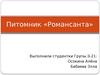 Питомник «Романсанта»