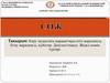 Көру мүшесінің жарақаттары:өтіп жаралануы, бітеу жаралануы, күйіктер. Диагностикасы. Жедел көмек түрлері